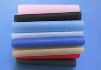 乌拉特前涤纶（PET）无纺布是什么